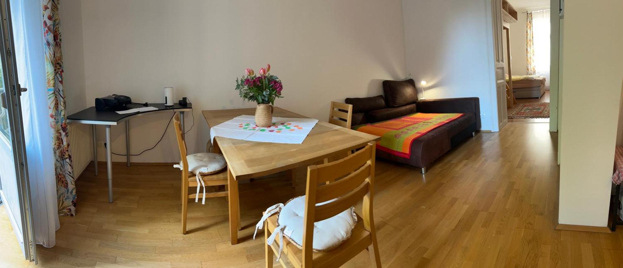 Urban Apartement, Internet, Veranda, Zentrum Graz Esterno foto